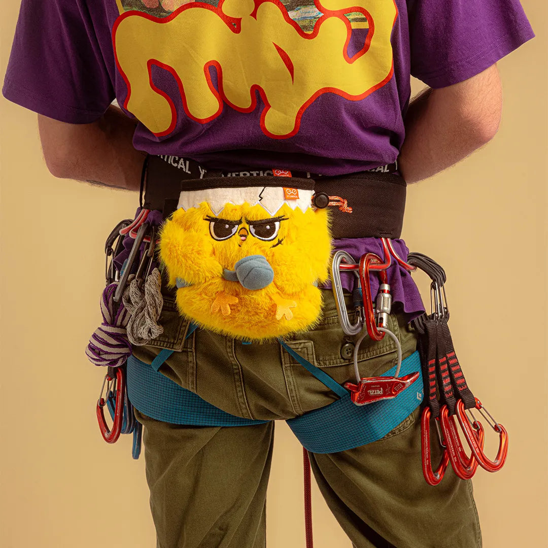 Chalk Chick bag