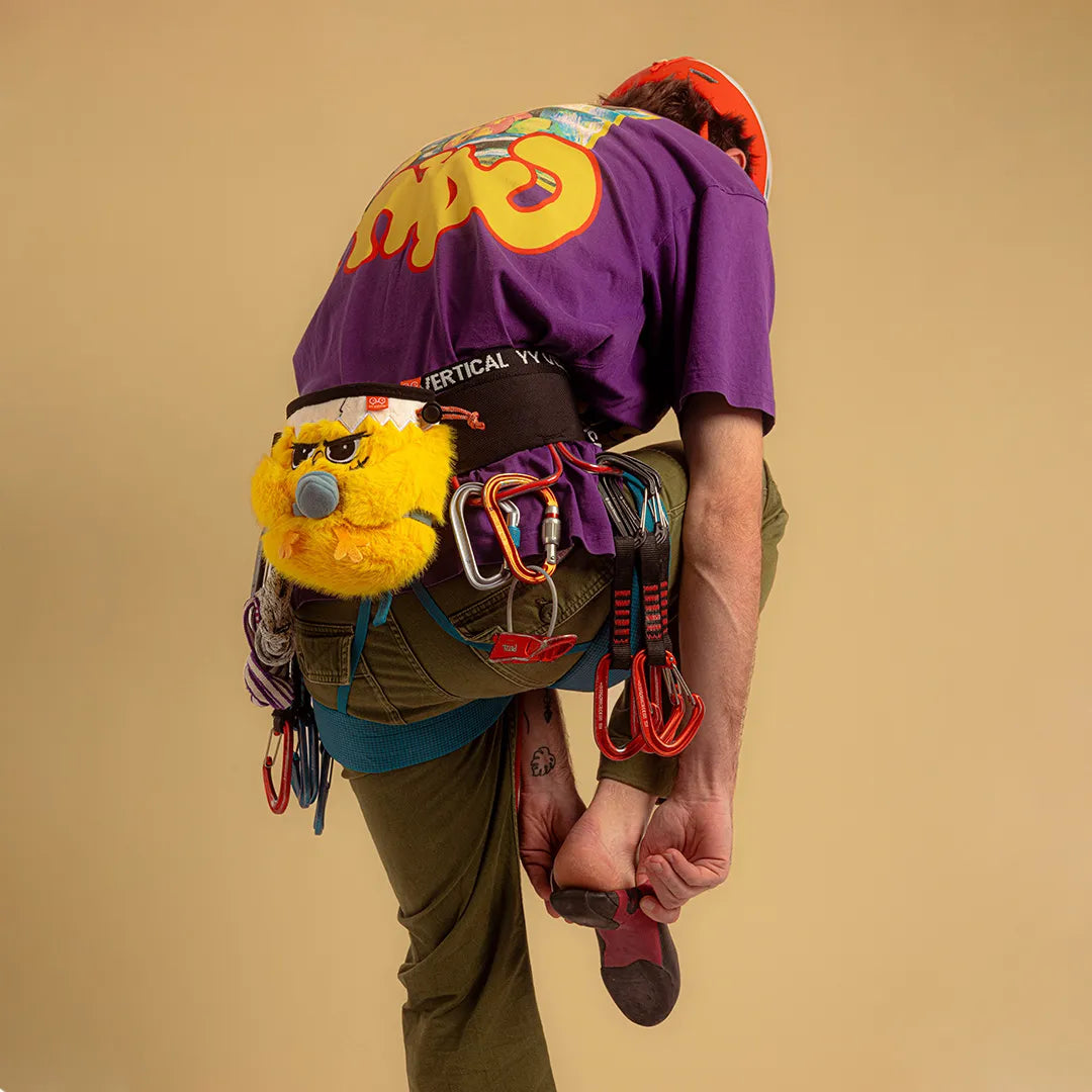 Chalk Chick bag