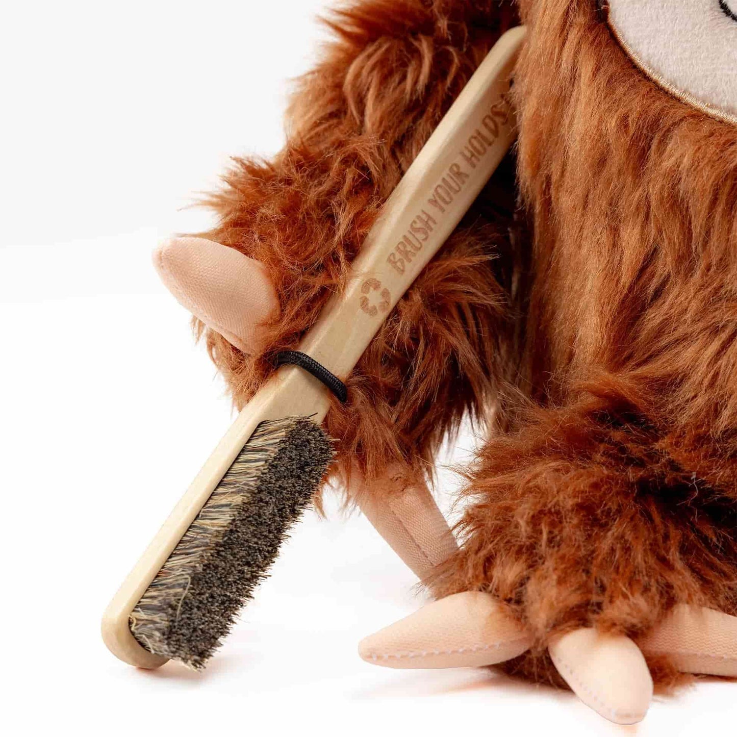 Boulder Chalkbag Sloth