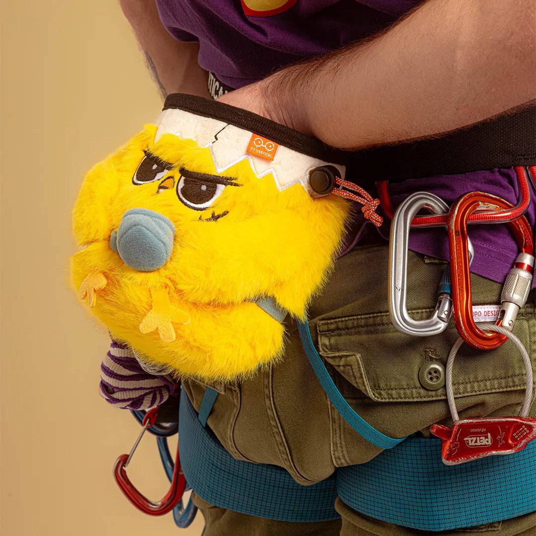 Chalk Chick bag